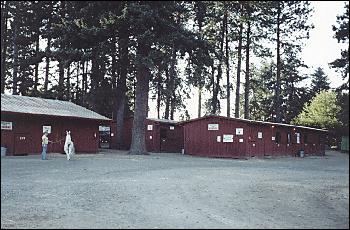 Picture of animal barns in trees