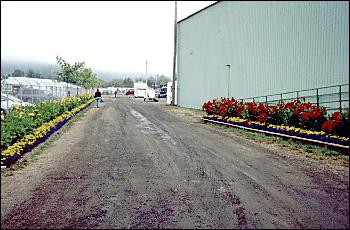 Picture of fair entrance with flowers.