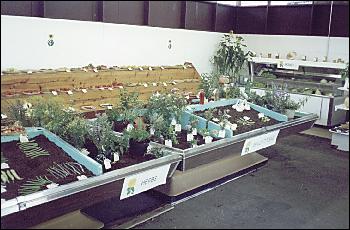Picture of vegetable open competition.