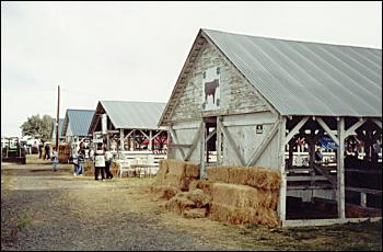 Picture of animal barns