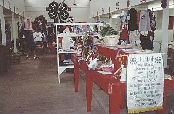 Picture of 4H textile area.