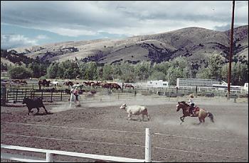 Picture of local rodeo.