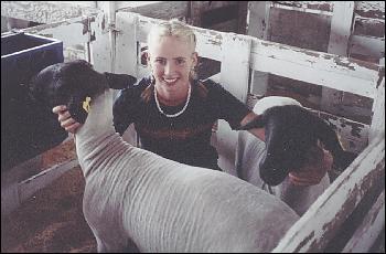Picture of Kristen with sheep.